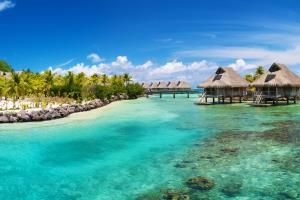 cruise vakantie caribische gebied