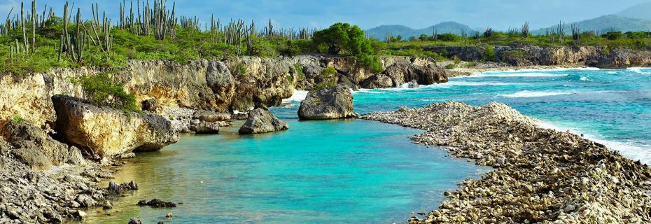 Bestemming-Bonaire2.jpg